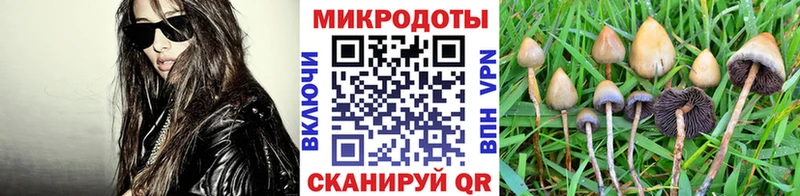 цена наркотик  Хадыженск  Псилоцибиновые грибы Psilocybe 