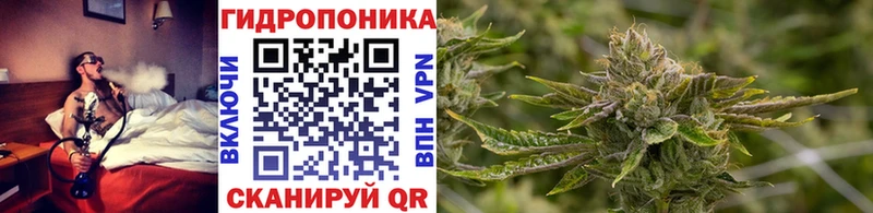 Бошки Шишки Bruce Banner  mega как войти  Хадыженск  что такое наркотик 